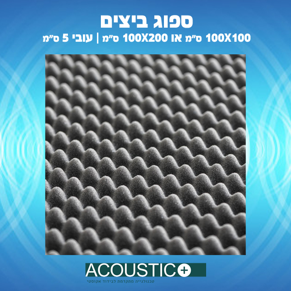 ספוג ביצים
